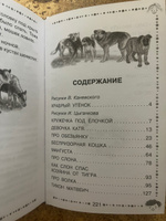 Рассказы про животных для детей | Житков Борис Степанович #8, Шеметова Наталья Николаевна