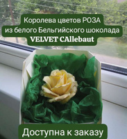 Бельгийский белый шоколад Velvet Callebaut 2,5 кг #34, Наталья К.