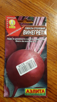 СВЕКЛА СТОЛОВАЯ ВИНЕГРЕТ. Семена. Вес 3 гр. Скороспелый сорт. #45, Ксения Р.