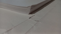 Бумага А3 для акварели Гамма "Студия" 50 листов формата А3, плотность 200г/м2, среднее зерно, акварельная папка для рисования художественная #38, Ирина К.