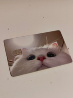 Наклейка на банковскую карту проездной виниловая котик #1, ALENA V.