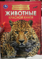 Энциклопедия для детей Животные Красной книги Умка | Козырь Анна #10, Наталья Н.