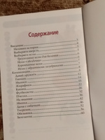 Фелтинг. Валяние из шерсти | Диброва Алина Артуровна #2, Инна Х.