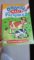 Водная Макси раскраска для детей "Домашние животные", 48,5х34 см, листов: 10, шт #19, Анна Х.