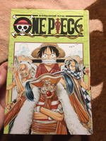 One Piece. Большой куш. Книга 1. На заре приключений | Ода Э. #5, Екатерина П.