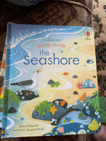 Usborne Peep Inside the Seashore | Milbourne Anna #3, кирилл п.