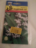 Семена Черемша Медвежий Луг 2 пакета #28, олег т.