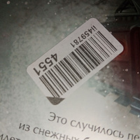 Птицы | Торин Владимир Витальевич #3, Любовь П.