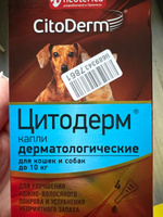 Капли дерматологические для кошек и собак до 10 кг CitoDerm для шерсти и кожи 4 шт #31, Ирина М.