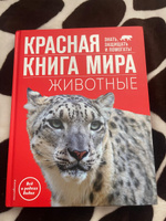 Красная книга мира. Животные | Климов Василий Владимирович #1, Маргарита