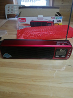 Радиоприёмник аккумуляторный (USB,TF,Bluetooth) Fepe FP-8002BT #6, Чапыгин С.