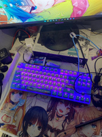 Игровая клавиатура Red Square Keyrox TKL Hanami (RSQ-20038) G3ms Sapphire Switch белый/голубой Русская раскладка USB #37, Даниил В.