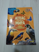 Детский альбом с наклейками "Атлас Мира. Птицы и насекомые", 70 наклеек #22, АЛЛА Б.