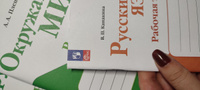 Набор рабочих тетрадей Математика, русский язык, окружающий мир 2 класс (к новому ФП). ФГОС | Моро Мария Игнатьевна, Волкова Светлана Ивановна #5, Татьяна Б.