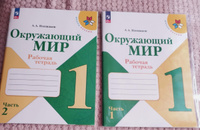 Окружающий мир. Рабочая тетрадь. 1 класс. Часть 1 и 2. Школа России. ФГОС 2024 Плешаков Андрей Анатольевич | Плешаков Андрей Анатольевич #3, Елена Т.