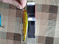 Воблер Bassday MOGUL MINNOW 110SP длина: 112 mm вес: 17g Цвет #FL-901 CHAMELEON PIKE #хищник #13, Алексей К.