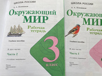 Плешаков А.А. Окружающий мир 3 класс Рабочая тетрадь в 2-х частях (Комплект) Школа России | Плешаков Андрей Анатольевич #3, Светлана В.