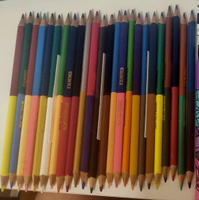 Карандаши цветные двусторонние ГАММА, для рисования, творчества и скетчинга, мягкие яркие, большой набор для школы, 24 штуки 48 цветов, трехгранные заточенные #2, Юлия Г.