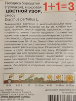 Семена Гвоздика бородатая турецкая "Цветной узор" 0,4 гр, однолетние цветы для дачи, сада и огорода, клумбы, в открытый грунт, на рассаду, из семян в домашних условиях. #13, Venceslav