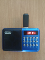 Радиоприемник MyLatso 3Вт, портативное радио MP3-плеер FM USB MicroSD, синий #7, Алексей С.