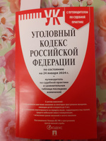 Уголовный кодекс РФ 2024 год ( по сост. на 24.01.24) + путеводитель по судебной практике и сравнительная таблица последних изменений. (УК 2024) #7, Любовь Н.