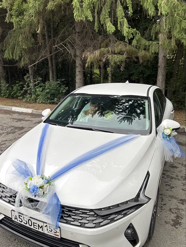Комплект украшений на свадебный автомобиль Белый + небесно-голубой