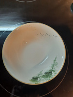 Набор Столовой Посуды Arya из Костяного фарфора, на 6 персон, 24 пр. Pine Белый, зеленый #93, Татьяна А.