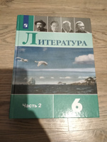 Литература. 6 класс. Учебник. Часть 2. 2022. Полухина В.П. | Полухина Валентина Павловна #2, Татьяна К.