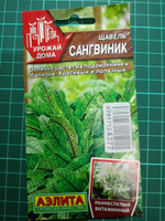 ЩАВЕЛЬ Сангвиник. Семена. Вес 0,05 гр. Отлично растет на подоконнике и балконе. Красивый и полезный. Аэлита #46, Юрий Ф.