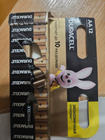 Duracell Батарейка AA, Щелочной тип, 1,5 В, 12 шт #131, Максим Ц.