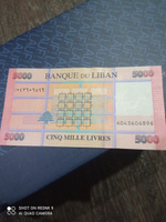 Банкнота 5000 ливров, Ливан, 2014г., UNC #7, Рим Х.
