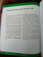 Позвоночник: Физиология суставов (обновленное издание) | Капанджи А. И. #8, Николай Г.