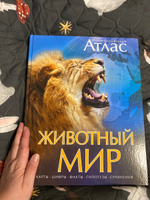 Животный мир. Иллюстрированный атлас | Бамбардения Чана, Вудрафф Дейвид #4, Ксения М.