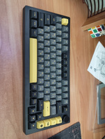 Игровая Клавиатура AKKO 5075B Plus Black&Gold 3 Modes RGB Hot Swap V3 Cream Yellow Switch,ASA profile keycap #3, Никита Л.