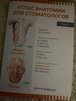 Атлас анатомии для стоматологов. В 2 т.Т. 1: Общая анатомия. Голова #1, Ксения С.