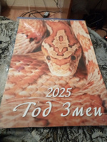 Календарь настенный перекидной "Год змеи. Вид 1" 320х480 на гребне с ригелем на 2025 год #1, Владимир Б.