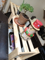 Стеллаж деревянный 116 см для игрушек и для книг Альберт напольный, без отделки / стеллаж на балкон, для кухни, для рассады из массива сосны #54, Оксана М.