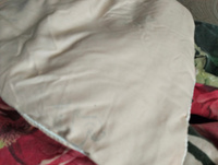 Асика Одеяло 1,5 спальный 150x210 см, Зимнее, с наполнителем Верблюжья шерсть, комплект из 1 шт #4, Елена К.