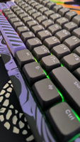 Игровая клавиатура Дарк Проджект x Akko 5087 G3ms Sapphire (DP-KD-5087-GSP) #6, Азам Т.