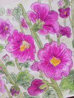 Раскраска для детей и взрослых : "Сюжеты для акварели"-Чудесные цветы. Рисуем акварелью #25, Вероника Б.