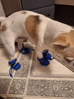 Обувь для собак, для кошек, сапоги для животных, синего цвета, размер 2, ботинки для собак #8, Ирена Я.