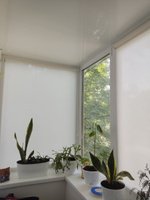 Штора рулонная GLASGOW 55х160см на окно экрю #66, Мямина Полина