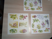 Набор бумаги для скрапбукинга 20х20 см "Первоцветы" #96, Елизавета Б.