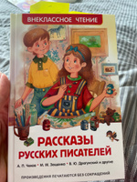 Рассказы русских писателей. Внеклассное чтение 1-5 классы. Классика для детей | Пантелеев Леонид, Паустовский Константин Георгиевич #1, Таисия С.