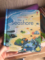 Usborne Peep Inside the Seashore | Milbourne Anna #2, Елена Д.