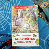 Барсучий нос. Рассказы и сказки. Внеклассное чтение | Паустовский Константин Георгиевич #7, Марина Т.