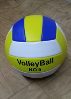 Мяч волейбольный 5 размера #5, Самсонов С.
