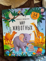 Книжка с окошками Мир Животных. Первая энциклопедия малыша #3, Инна