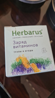 Herbarus Набор в подарок 3 Хита Мятный 24 п., Спокойствие 10 п., Заряд, 10 п. #36, Амир Ф.