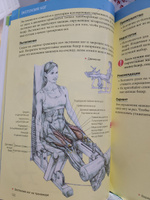 Анатомия силовых тренировок для женщин | Гандил Майкл, Делавье Фредерик #8, Наталия Ч.